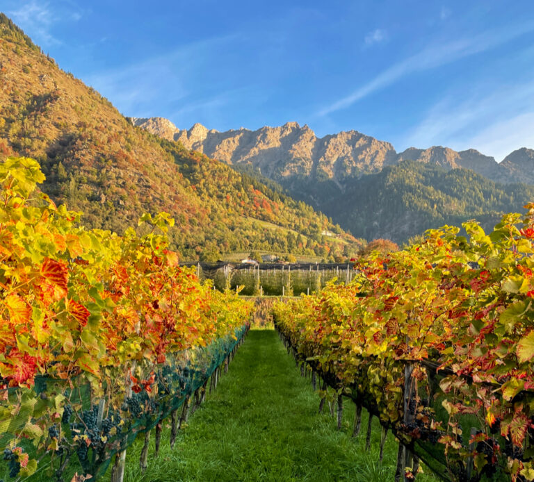 Stachlburg Castle: A Medieval Fortress and Winery in Partschins, Italy