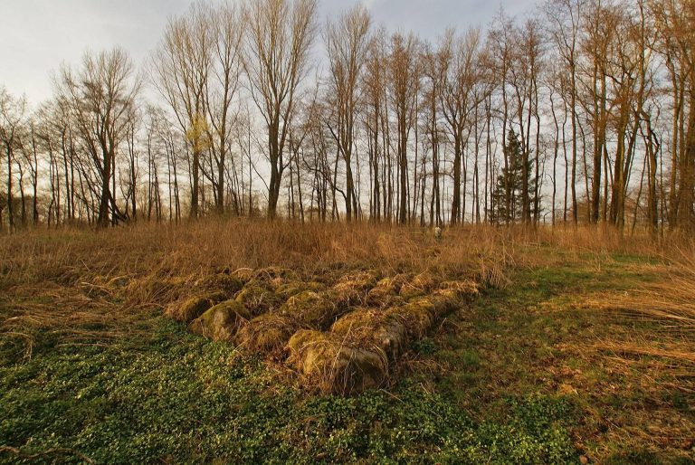 Burg Stegen: A Medieval Motte-and-Bailey Castle in Germany