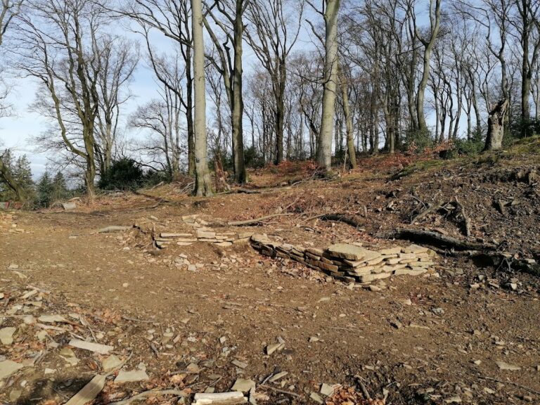 Alteburg: An Early Medieval Castle Complex in Essen, Germany