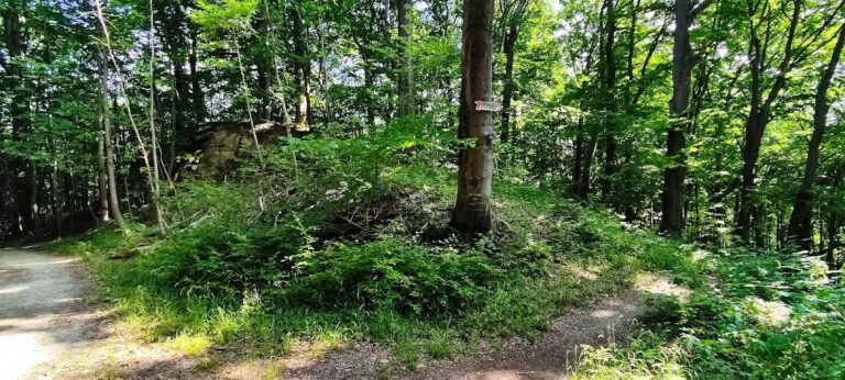 Burgruine Dreienburg: A Medieval Castle Ruin in Friedewald, Germany