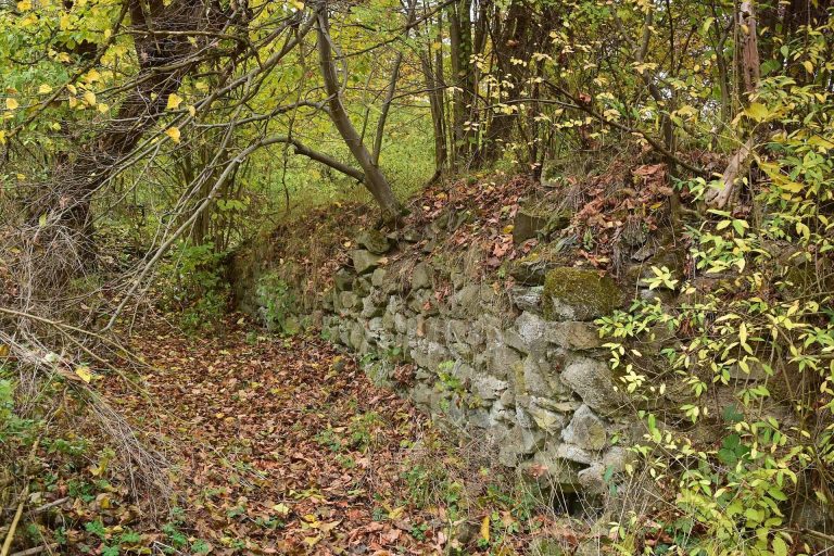 Ježov Castle: A Ruined Gothic Castle in Czechia