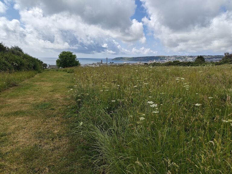 Lescudjack Hill Fort: An Iron Age Settlement in Penzance, UK