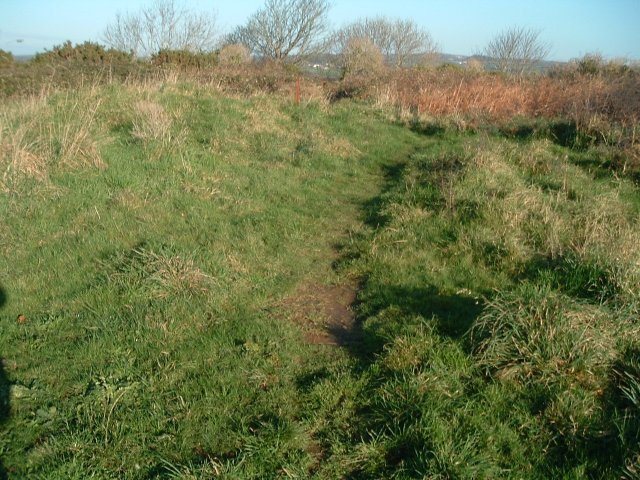 Lescudjack Hill Fort: An Iron Age Settlement in Cornwall