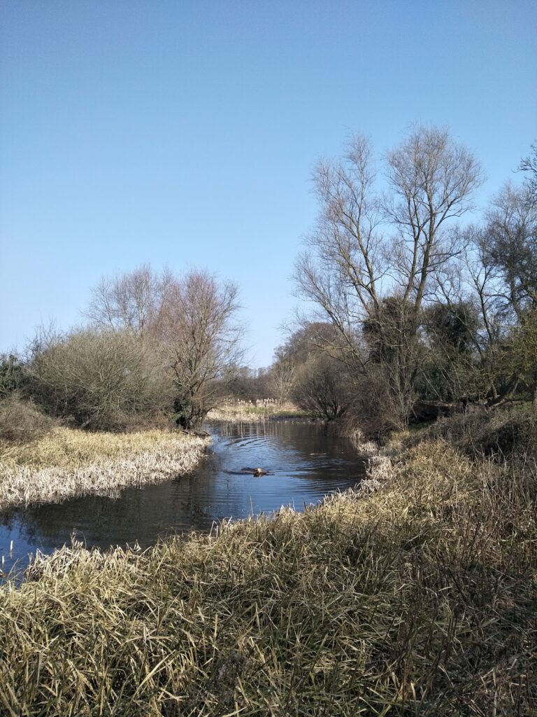 Rampton Castle: A 12th-Century Motte and Bailey in England
