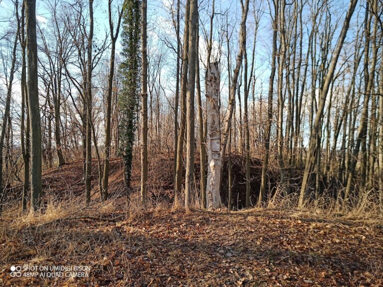 Rotemberk Castle Ruins: A Medieval Fortress in Habřina, Czechia