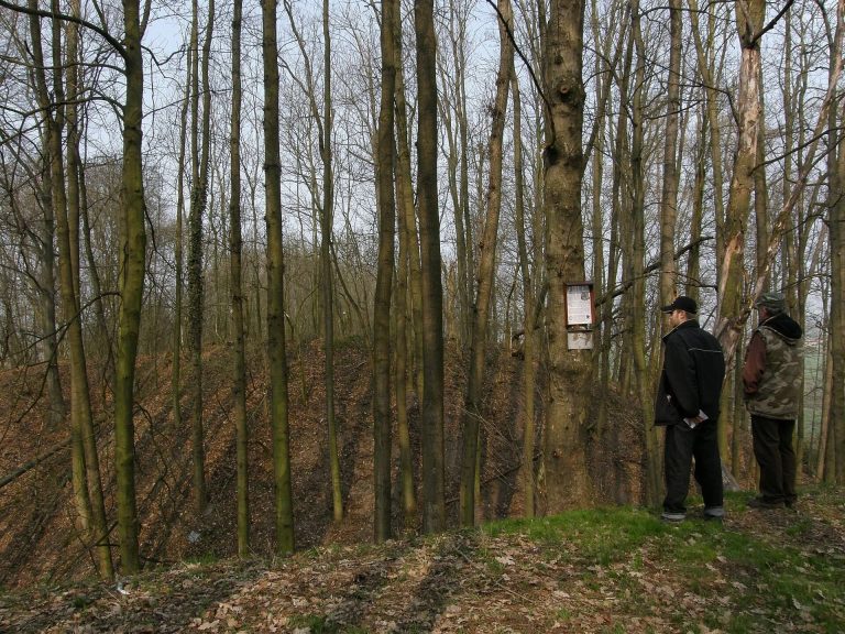 Rotemberk: The Remains of a Medieval Castle in Czechia