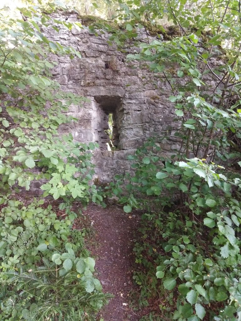 Irslingen Castle: An Urslingen Ancestral Castle Ruin in Germany