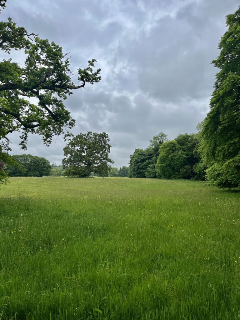 Ballinlough Castle: A Fortified Country House in Ireland 2 Ballinlough Castle