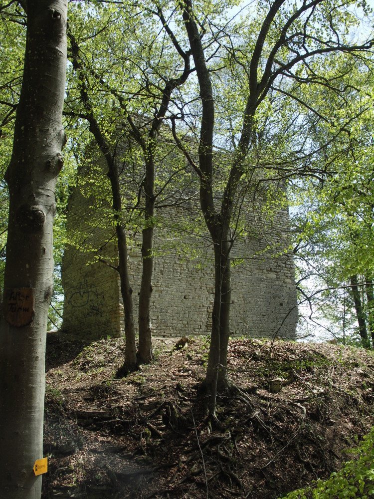 Burgruine Alter Turm Aach: An Early Eleventh-Century Ring Castle in Germany
