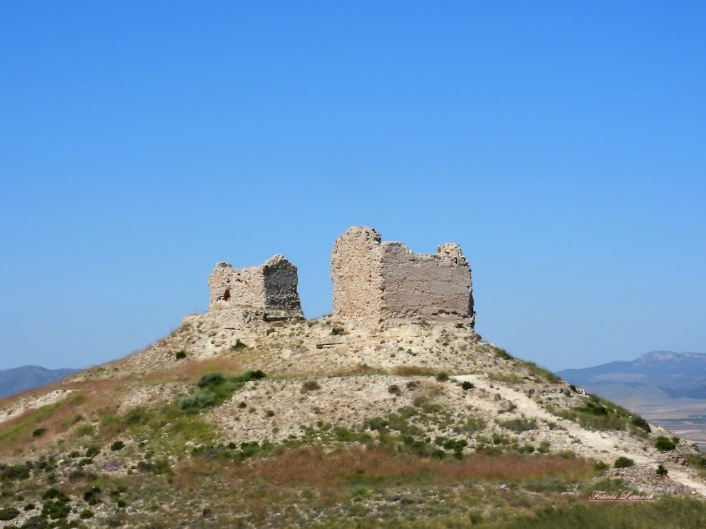 Castle of Rueda de Jalón