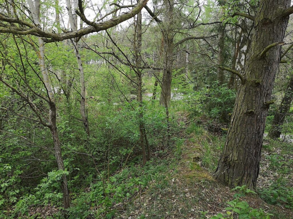 Hrochův Hrádek: A Medieval Fortress Ruin in Czechia 2 Hrochův Hrádek