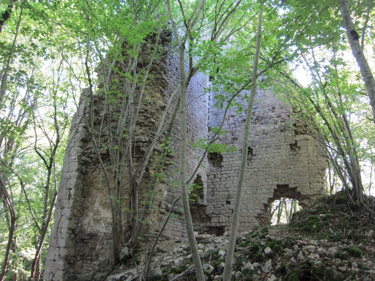Château de Vaite: A Ruined Medieval Fortress in France