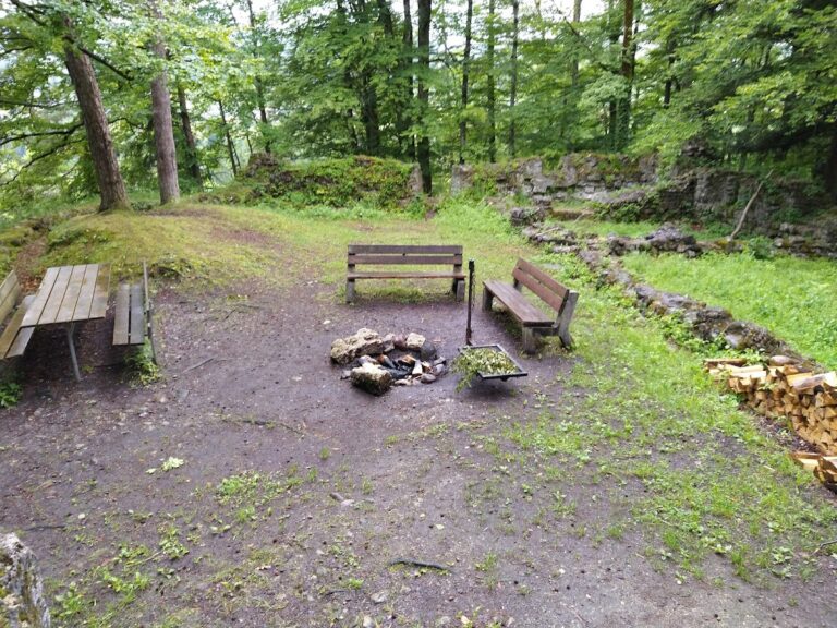 Rüdberg Castle Ruin: A Medieval Fortress near Oberhelfenschwil, Switzerland