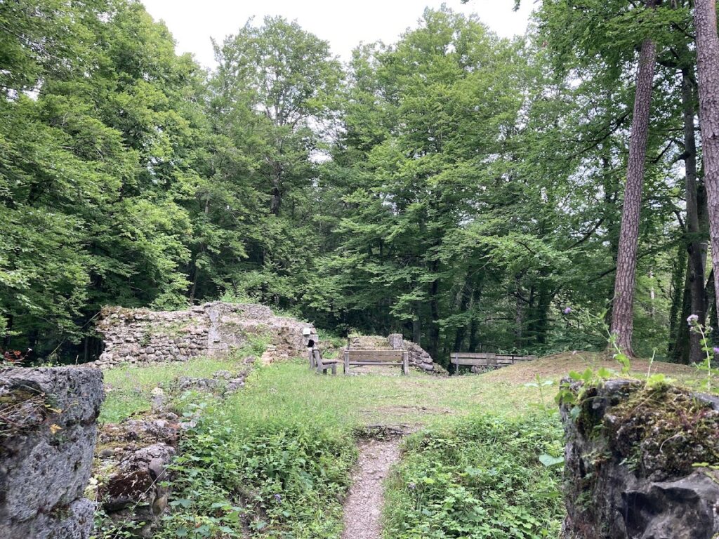 Rüdberg Castle Ruin: A Medieval Hilltop Fortress in Switzerland 2 Rüdberg Castle Ruin