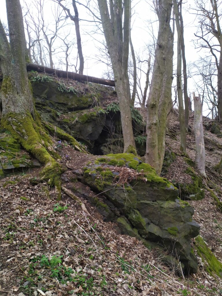 Řebřík Castle: A Medieval Fortress in the Czech Republic