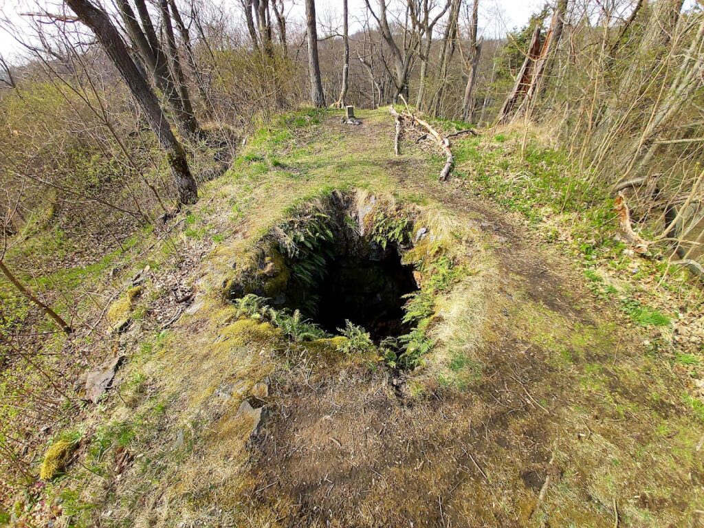 Řebřík Castle: A Gothic Castle in Czechia 2 Řebřík Castle