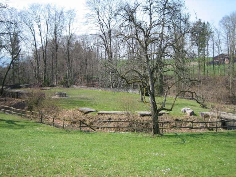 Friedberg Castle: Medieval Ruins in Meilen, Switzerland