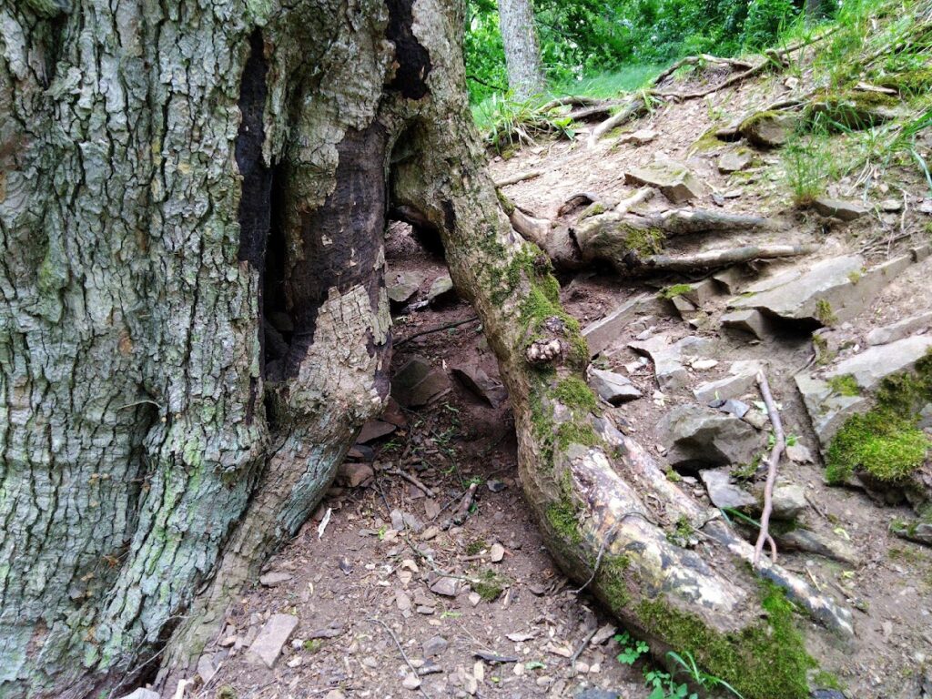 Příkopy Castle: An Early Medieval Bohemian Fortress in the Czech Republic 4 Příkopy Castle