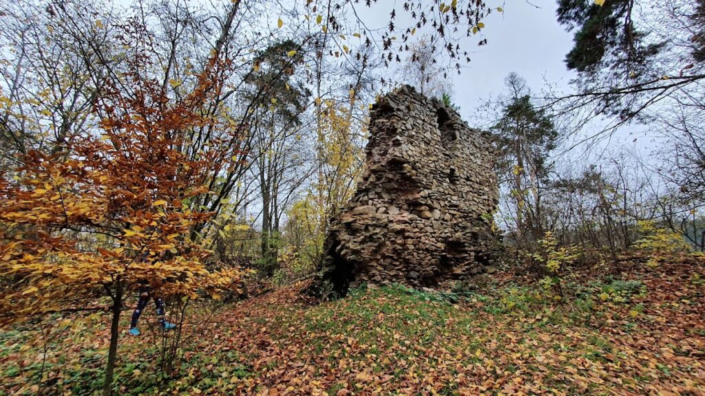 Víckov Castle: A Gothic Castle Ruin in Czechia 1 Víckov Castle
