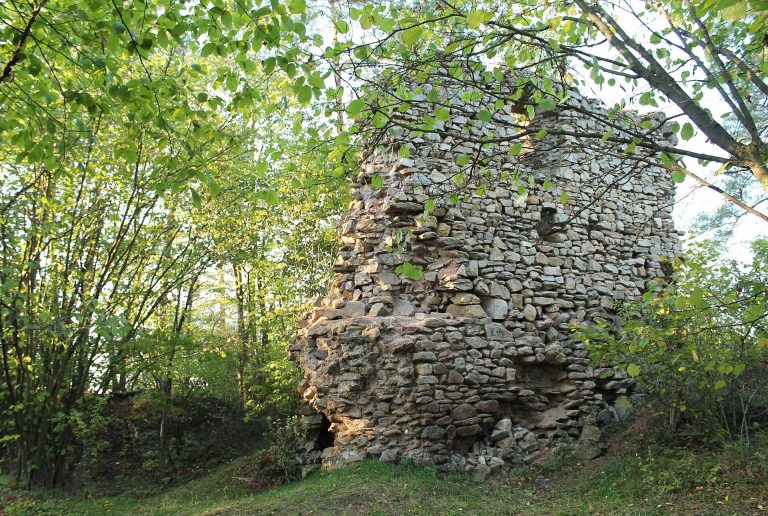 Víckov Castle: A Gothic Castle Ruin in Czechia