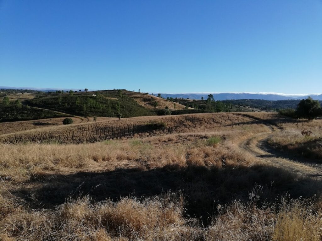 Castillo de Salvaleón