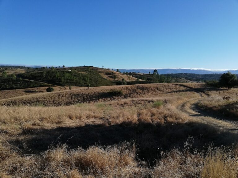 Castillo de Salvaleón: A Historic Fortress in Valverde del Fresno, Spain