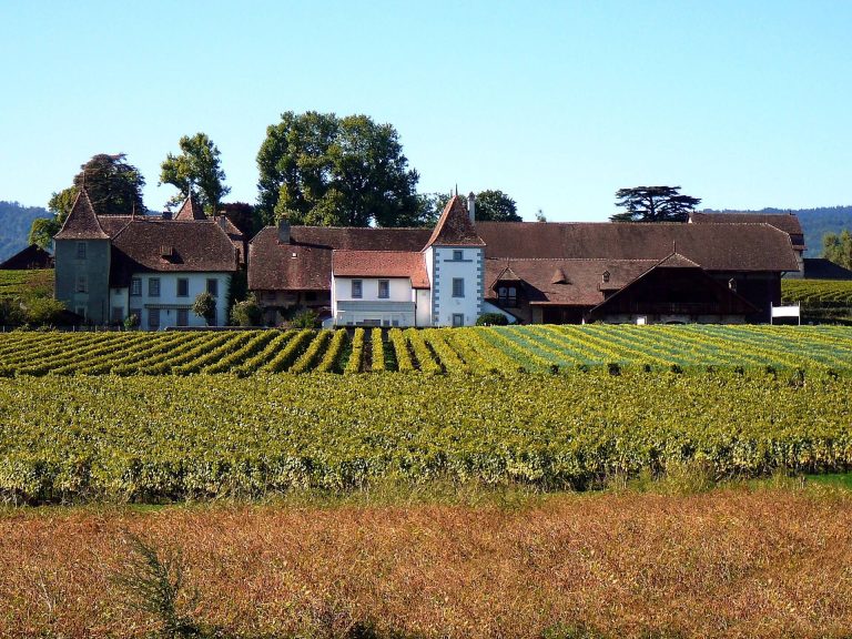 Duillier Castle: A Rural Castle and Lordship Center in Switzerland
