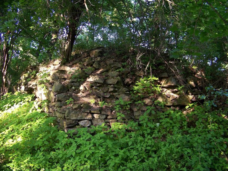 Liběhrad: A Medieval Castle Ruin above the Vltava in Czechia
