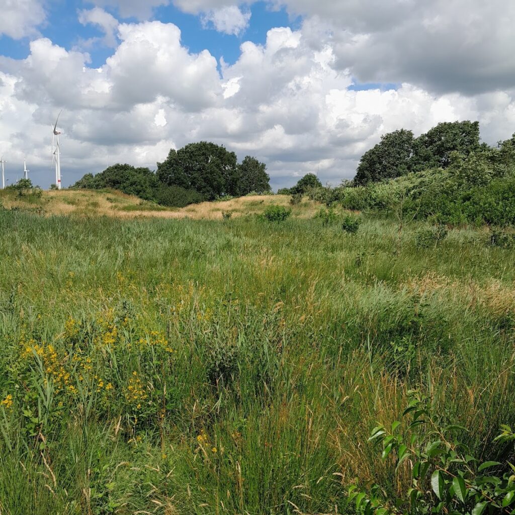 Stellerburg: An Early Medieval Saxon Ring-Fortification in Germany 1 Stellerburg
