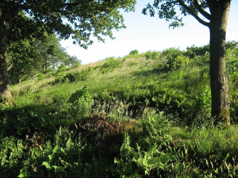 Stellerburg: An Early Medieval Saxon Ring-Fortification in Germany