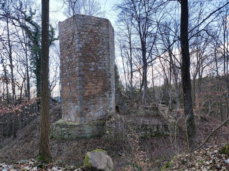 Burg Forstenberg: A Medieval Castle Ruin in Regenstauf, Germany
