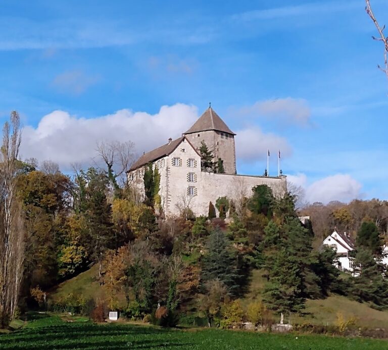 Herblingen Castle: A Medieval and Baroque Landmark in Switzerland