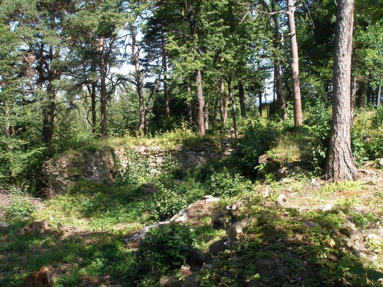 Osule: An Unfinished Gothic Castle in Czechia