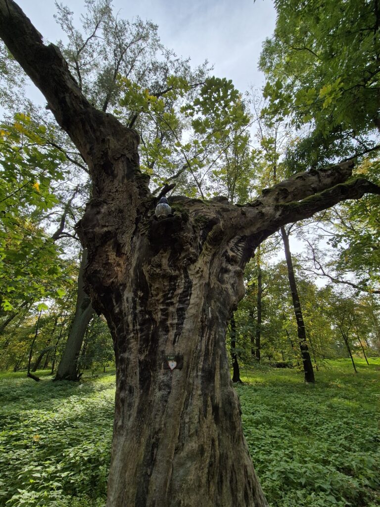 Kuncberk: A Historical Site in Czechia Reflecting Medieval and Baroque Heritage 4 Kuncberk