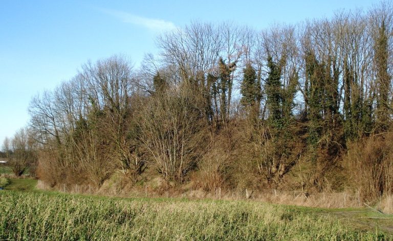 Pöppendorfer Ringwall: A Slavic Fortified Enclosure in Germany