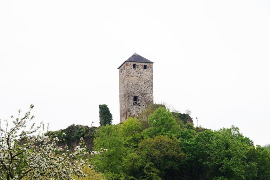 Wildburg (Treis-Karden): A Medieval Hill Castle in Germany 1 Wildburg (Treis-Karden)