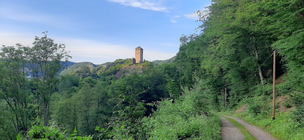 Wildburg (Treis-Karden): A Medieval Hill Castle in Germany 2 Wildburg (Treis-Karden)