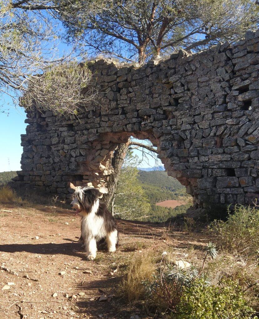 Castell de Font-rubí