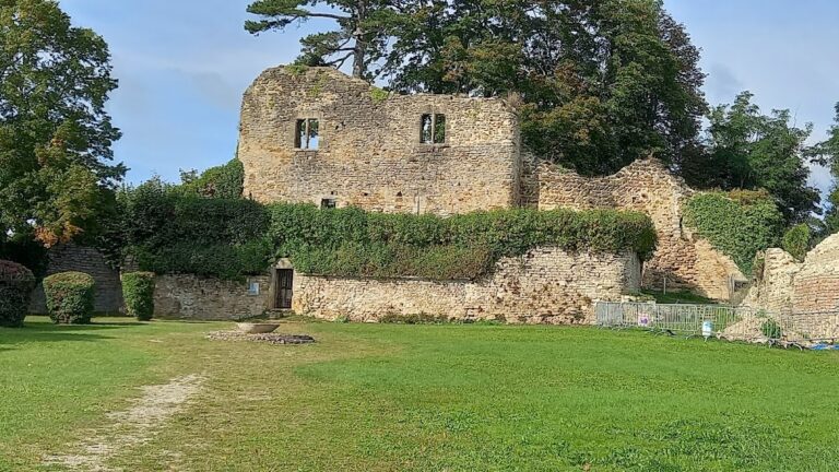 Château de Moulins-Engilbert: A Medieval Fortress in France