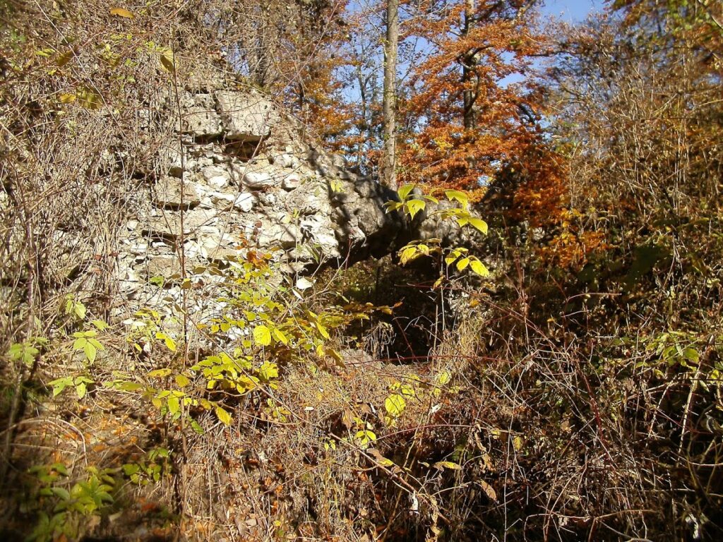 Kirnstein Castle Ruins: A Medieval Route-Control Fortress in Germany 4 Burgruine Kirnstein