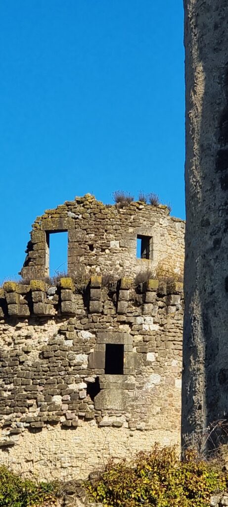 Château de la Prune-au-Pot: A Medieval Rural Castle in France 2 Château de la Prune-au-Pot