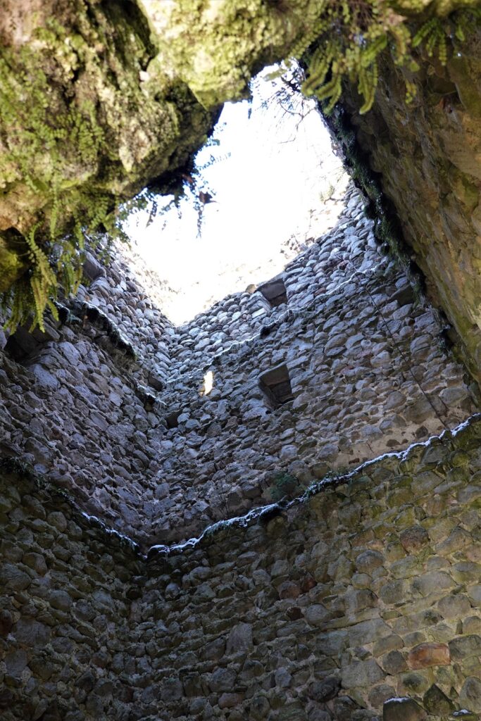 Burgruine Hieburg: A Medieval Hillside Castle Ruin in Austria 3 Burgruine Hieburg
