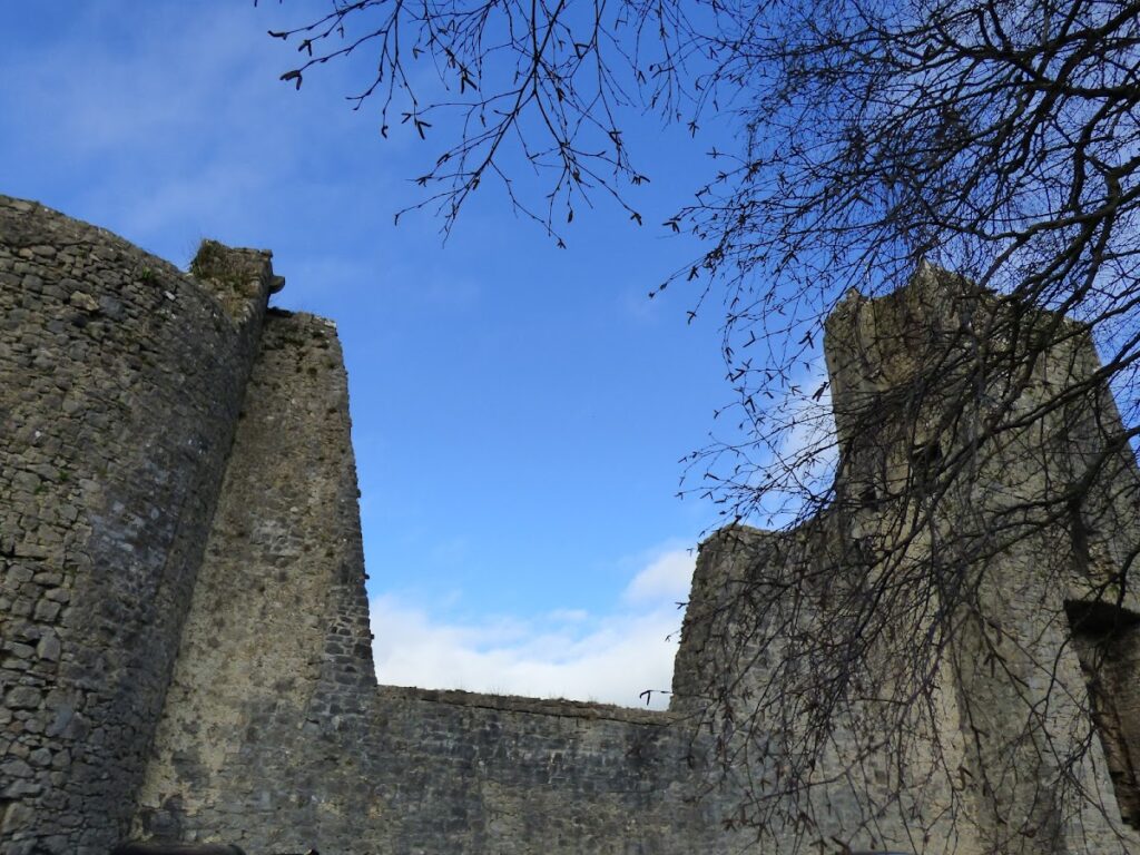 Liscarroll Castle: A Hiberno-Norman Fortress in County Cork 2 Liscarroll Castle