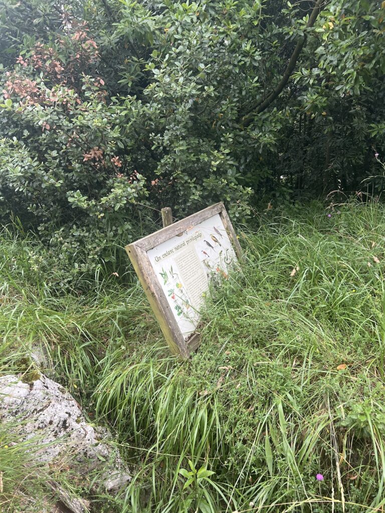 Castillo del Collao, Camargo