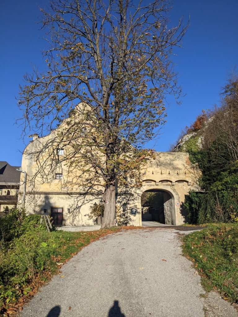 Kranichberg Castle: A Medieval and Baroque Heritage Site in Austria 9 Kranichberg Castle