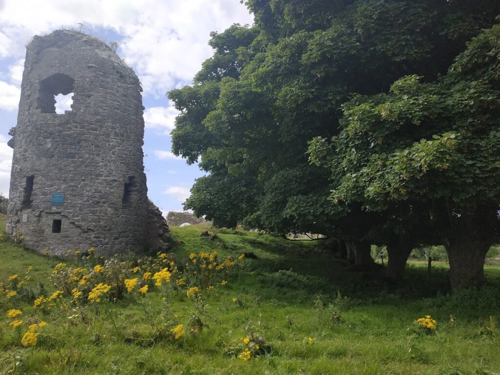 Ballylahan Castle: A Medieval Tower House in Ireland 1 Ballylahan Castle