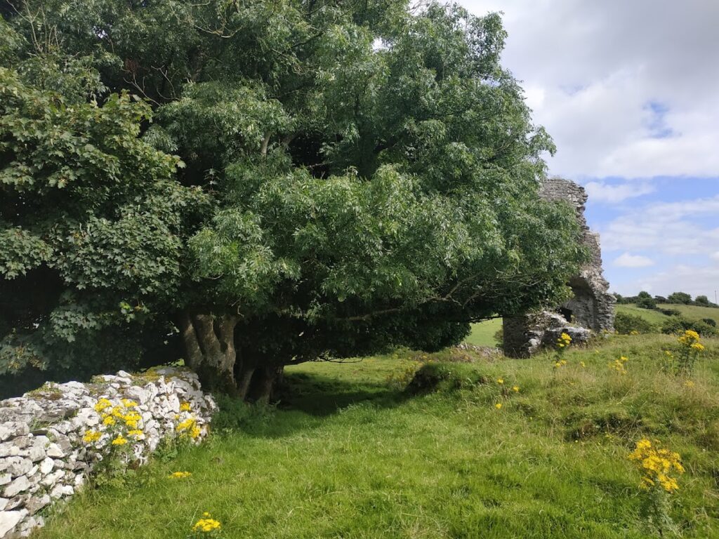 Ballylahan Castle: A Medieval Tower House in Ireland 4 Ballylahan Castle