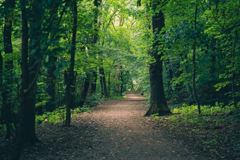 Burg Kaiserberg: A Historic Fortification in Duisburg, Germany