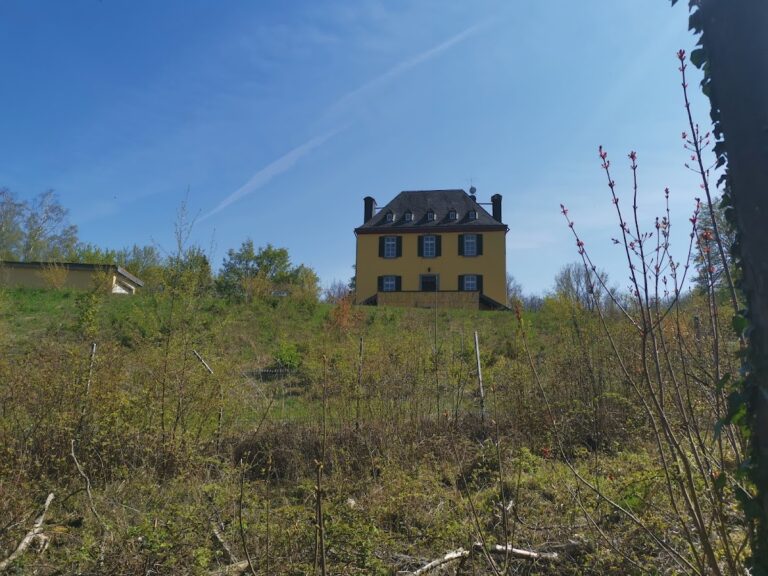 Burg Schallmauer: A Baroque Manor House in Hürth, Germany