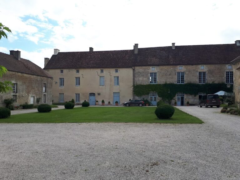 Château de Frôlois: A Historic Fortress and Noble Residence in France